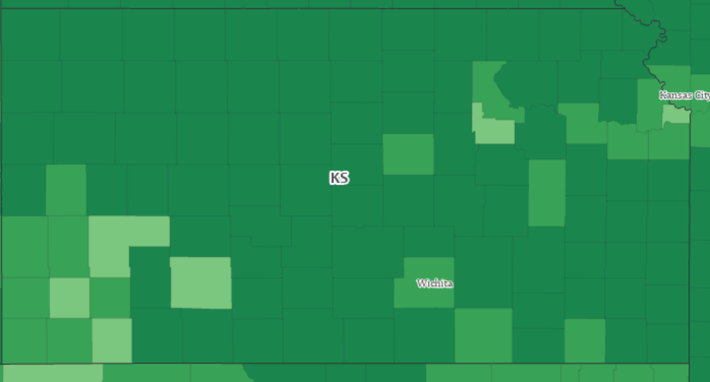 Town Talk 2020 Census numbers show white population in Douglas County